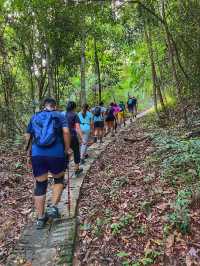 A Hidden Hill Unknown to Most: Morning Hike at Bukit Papan