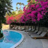 The Nai Harn, Phuket 