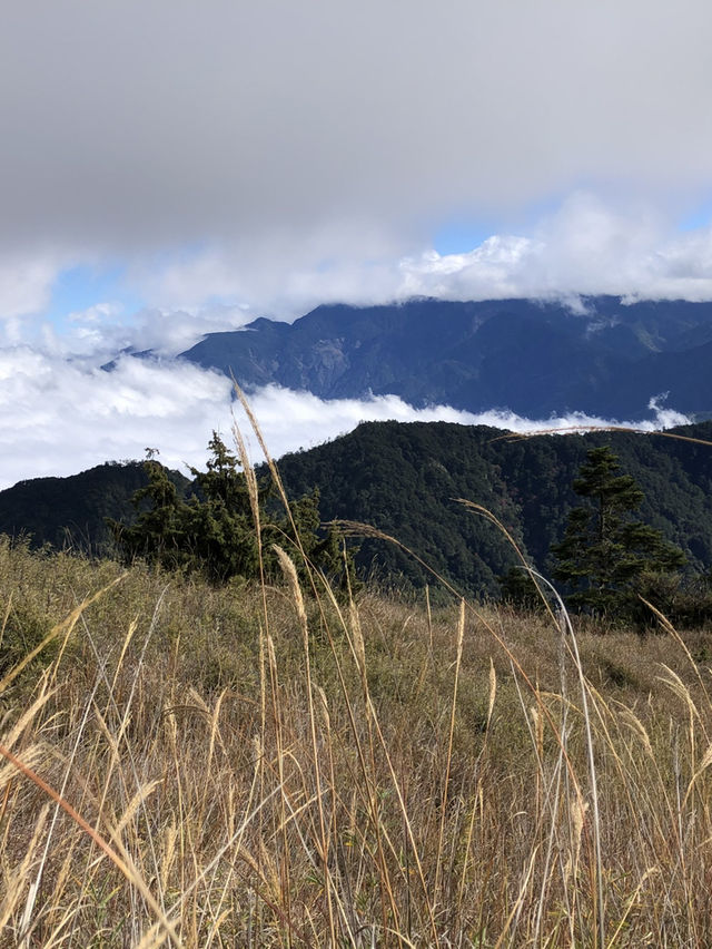 桃山｜武陵四秀中最秀麗的百岳之一 