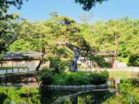 Jongmyo: A Journey Through Korea's Royal History