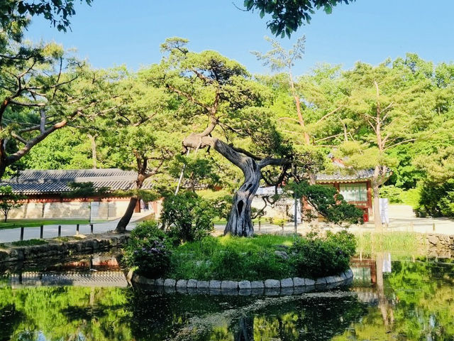 Jongmyo: A Journey Through Korea's Royal History