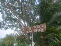The Lasy Resort ที่พักครอบครัวติดเขื่อนแก่งกระจาน