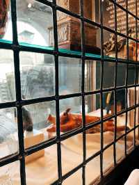 🇪🇸西班牙賽哥維亞美食探店 🍽️ Mesón de Cándido