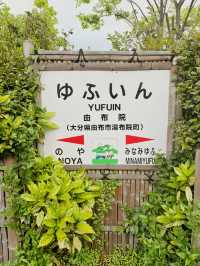 搭由布院之森🚞來一趟旅行吧🧳