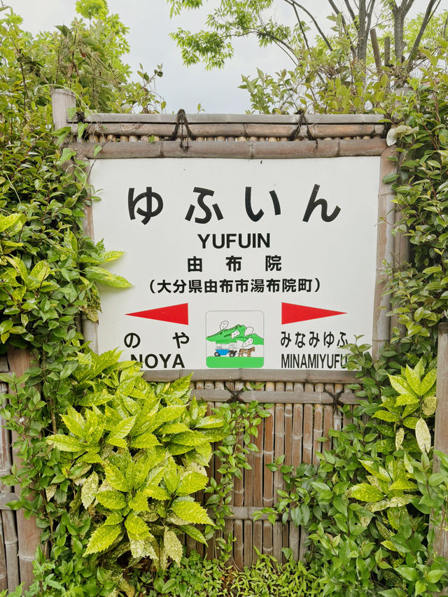 搭由布院之森🚞來一趟旅行吧🧳