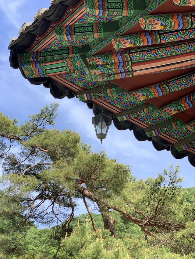 광주 근교 고즈넉함을 느낄 수 있는 백양사