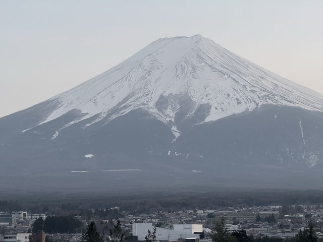 Still Waiting on Fuji: The Mountain Remains Shy