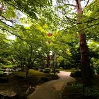 Yuushien: A Floral Paradise on Daikon Island