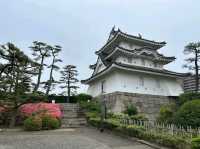 Ritsurin Garden – Tranquility in Every Season