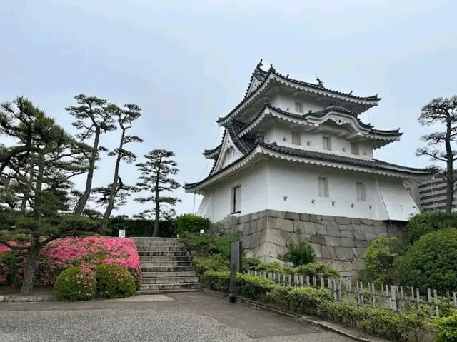 Ritsurin Garden – Tranquility in Every Season
