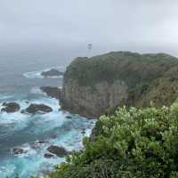 Ashizuri-Misaki Cape: A Coastal Sanctuary of Beauty and History 
