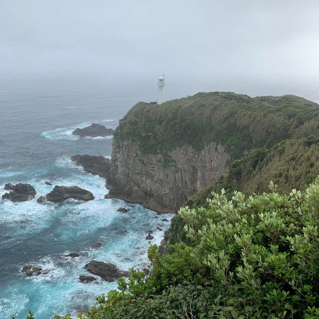 Ashizuri-Misaki Cape: A Coastal Sanctuary of Beauty and History 