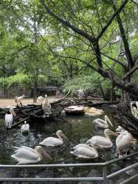 Wildlife experience in Safari World Bangkok