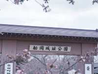 東京至東北攻略：船岡公園賞櫻