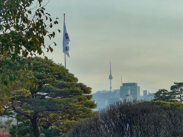 Blue Tiles & Big History: Exploring the Blue House in Seoul