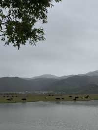 Mocha, Mist & Mountain Dreams: A Rainy Day at Heidou Café