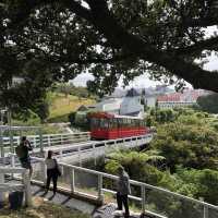 Wellington ショートトリップ