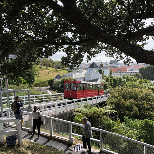 Wellington ショートトリップ