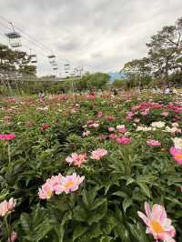 🌳 Discover Nature and Fun at Seoul Grand Park! 🦁