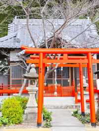 [🇯🇵三原] 大島神社：静かな自然に包まれた神聖な場所