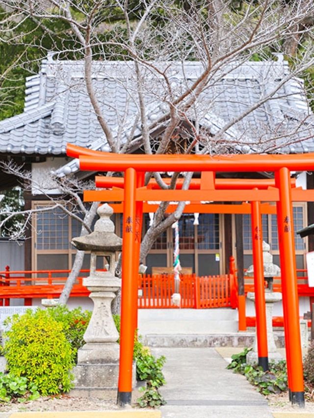 [🇯🇵三原] 大島神社：静かな自然に包まれた神聖な場所