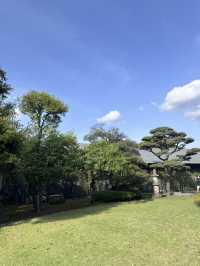 도쿄 오모테산도 정원이 멋진 미술관,네즈미술관