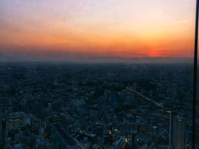 SHIBUYA SKY – Tokyo from Above