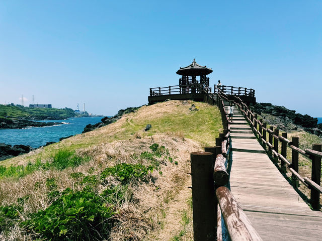 ❤️‍🩹 정서까지 힐링되는 건강한 여행지