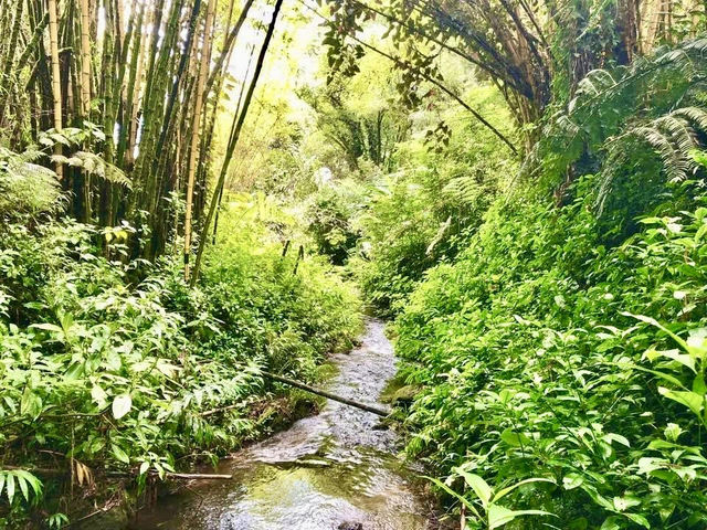 Akaka Falls State Park – Big Island