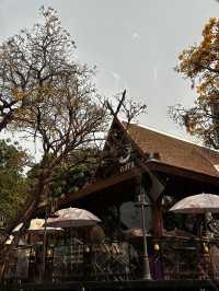Popular local restaurants in chiang mai 