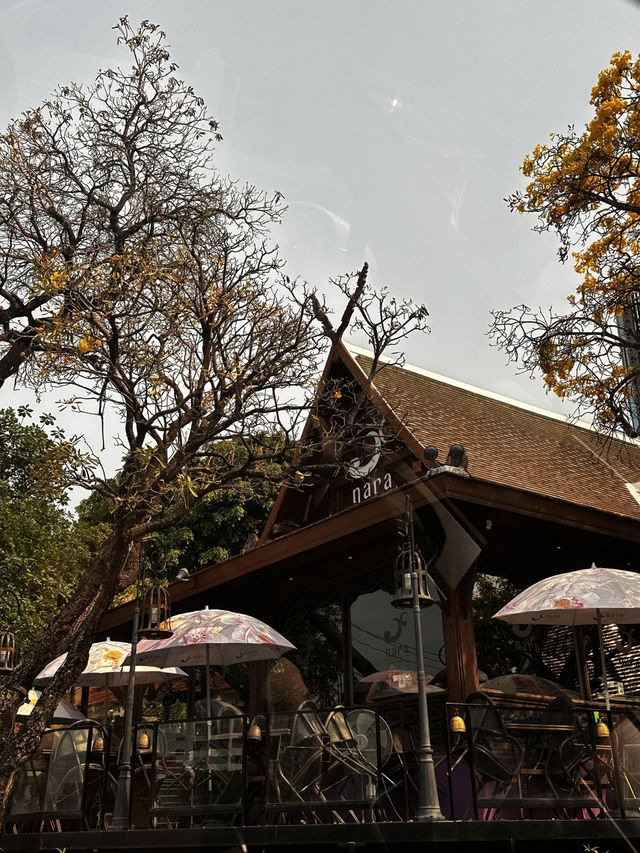 Popular local restaurants in chiang mai 