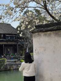 A Memorable Trip to Wuzhen