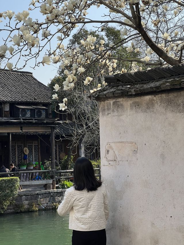 A Memorable Trip to Wuzhen