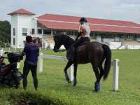 Saddle, Sip and Giddy-up in KL for Great Coffee,Views & Food 