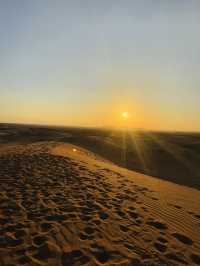 Desert Safari Dubai