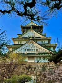 โอซาก้า🇯🇵