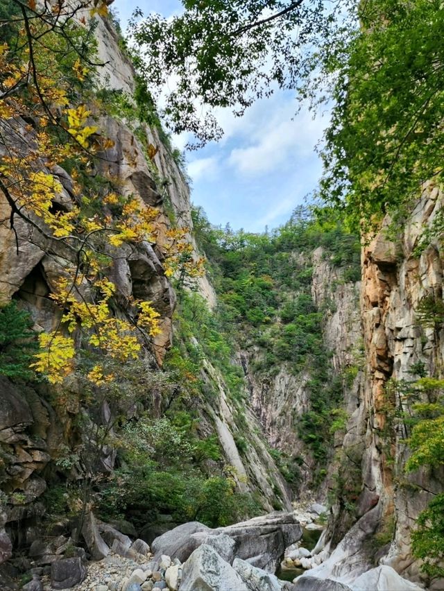 Chill Adventures at Seoraksan National Park Nature Center (Inje-gun Edition!)