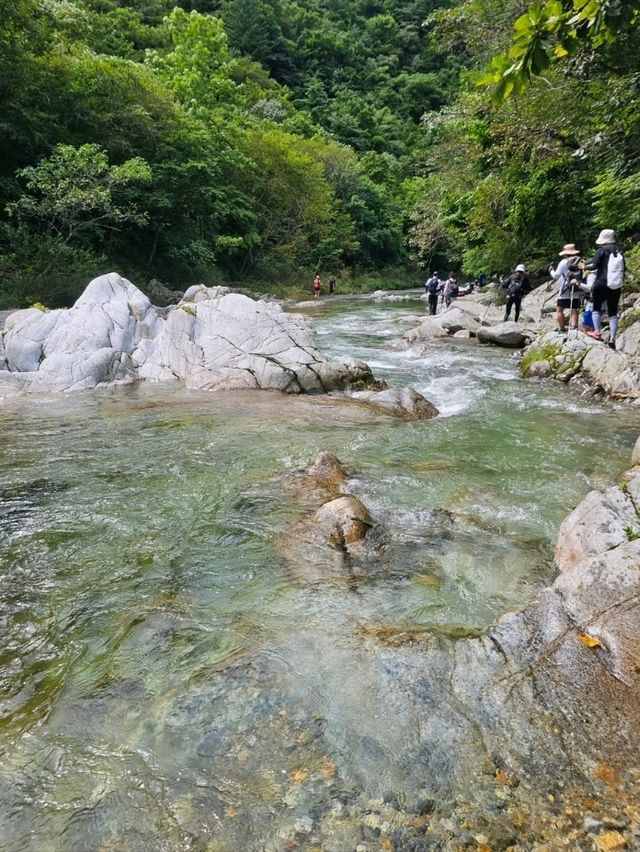 Achigari Valley, Nature’s Chill Spot Tucked in Gangwon-Do
