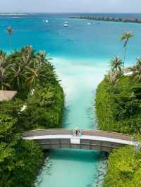 🐚 Waldorf Astoria Maldives Ithaafushi – A Luxe Escape to Barefoot Bliss 🏖️💫
