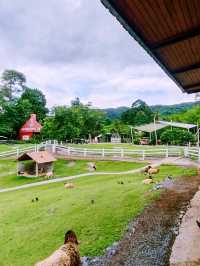 ลานสกาฟาร์มแกะ (Lansaka Sheep Farm)