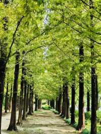 A Delightful and Educational Journey Through World Cup Park