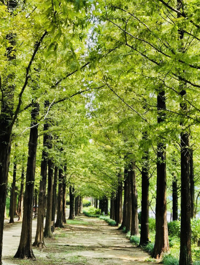 A Delightful and Educational Journey Through World Cup Park