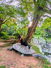 Lily Pond - The hidden gem at Gardens By The Bay