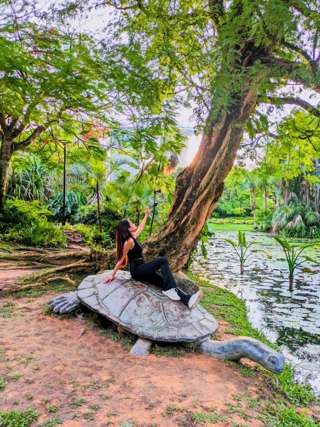 Lily Pond - The hidden gem at Gardens By The Bay