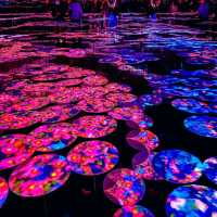 Lost in Light: The Spellbinding World of teamLab Borderless Tokyo 🇯🇵
