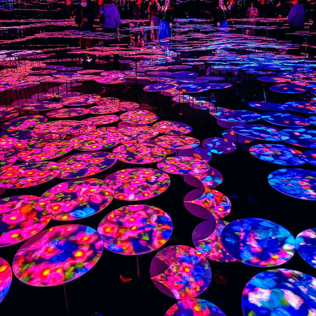 Lost in Light: The Spellbinding World of teamLab Borderless Tokyo 🇯🇵