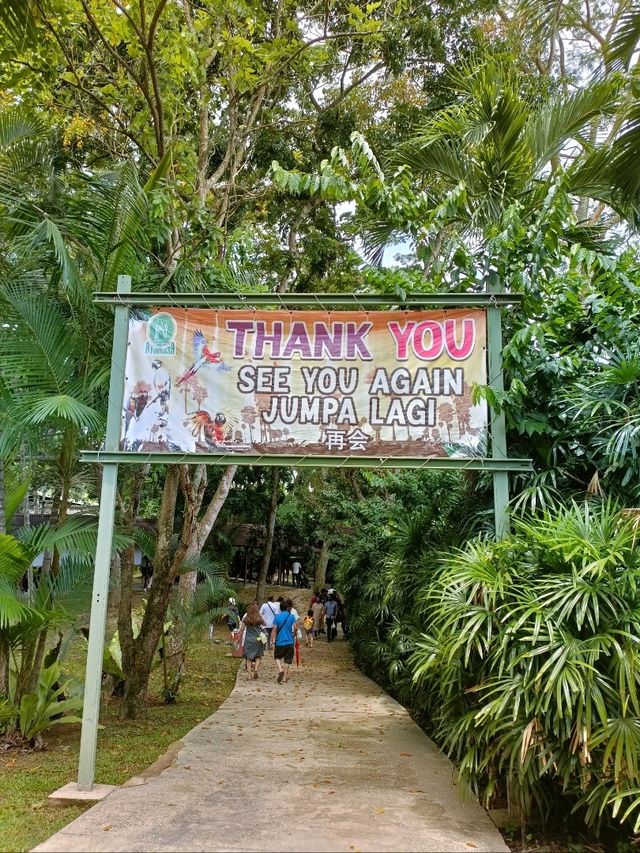 Where Wild Encounters & Thrilling Shows Await! 🦒🦜