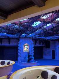 🎢【千葉・舞浜 東京ディズニーランド攻略】初心者もリピーターも！一日を最大限に楽しむヒント