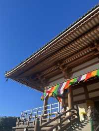 📍【東京・足立区 西新井大師 總持寺（五智山遍照院）】 約1,200年の歴史を誇る