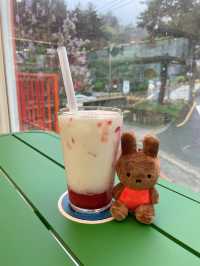 ｜韓國｜釜山影島Miffy Cafe-童心爆發的海景兔兔咖啡廳
